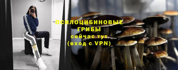 PSILOCYBIN Алексеевка