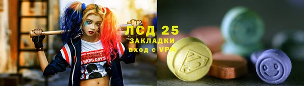 гидра Алексин