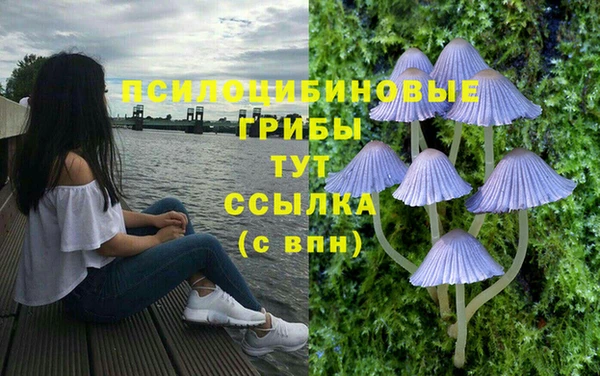гидра Алексин