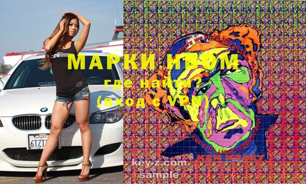 шишки Алзамай
