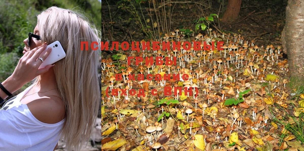 PSILOCYBIN Алексеевка