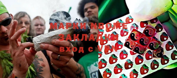 шишки Алзамай